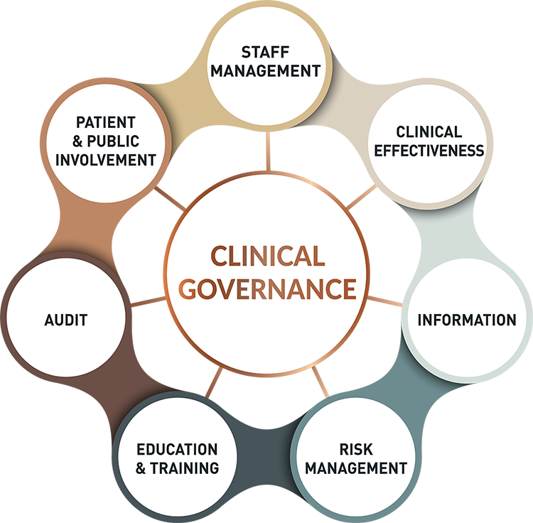 pillars of clinical governance